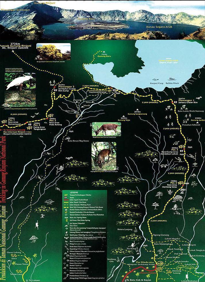 rinjani trekking map by rinjani trekking expert