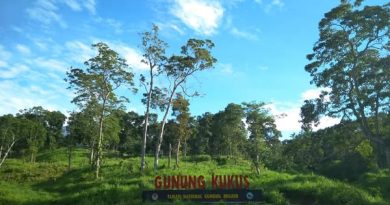 Includes On The 2D1N Gunung Kukus Hiking : • Mountain Guide and Porter • One night accommodation before the trek at Hotel in Tetebatu. • All camping equipments: • Tent • Sleeping bags • Foam Mat / Air Mat • Cooking gears • Toilet tent • All meals ( 3 times daily ) + mineral water + fruits • All ticket entrance fee • Transport pick up from anywhere within Lombok island and transfer return within Lombok island