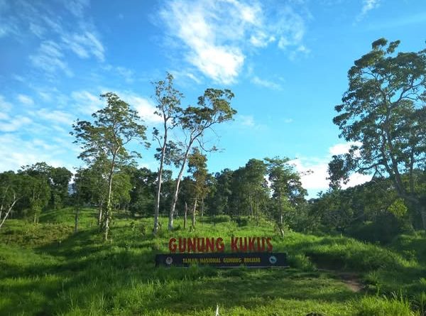 Includes On The 2D1N Gunung Kukus Hiking : • Mountain Guide and Porter • One night accommodation before the trek at Hotel in Tetebatu. • All camping equipments: • Tent • Sleeping bags • Foam Mat / Air Mat • Cooking gears • Toilet tent • All meals ( 3 times daily ) + mineral water + fruits • All ticket entrance fee • Transport pick up from anywhere within Lombok island and transfer return within Lombok island