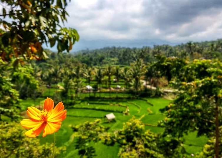 2D1N Tetebatu Tour Trip (8)