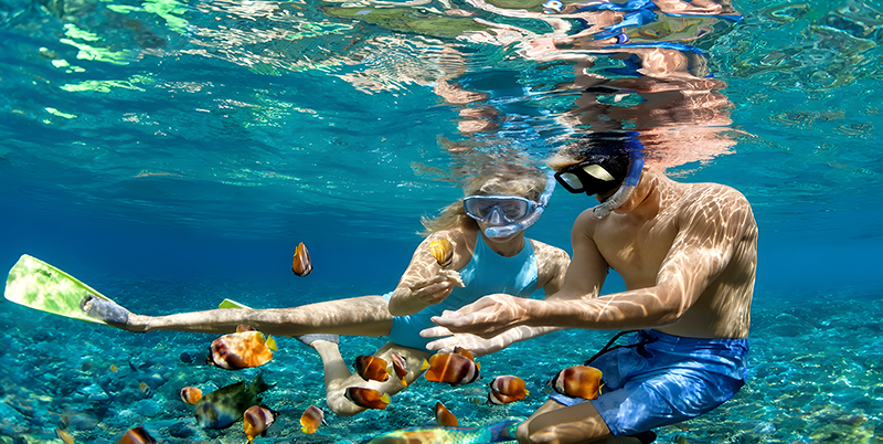 3 Days 2 Nights Moyo Island, Kenawa & Whale Shark Adventure