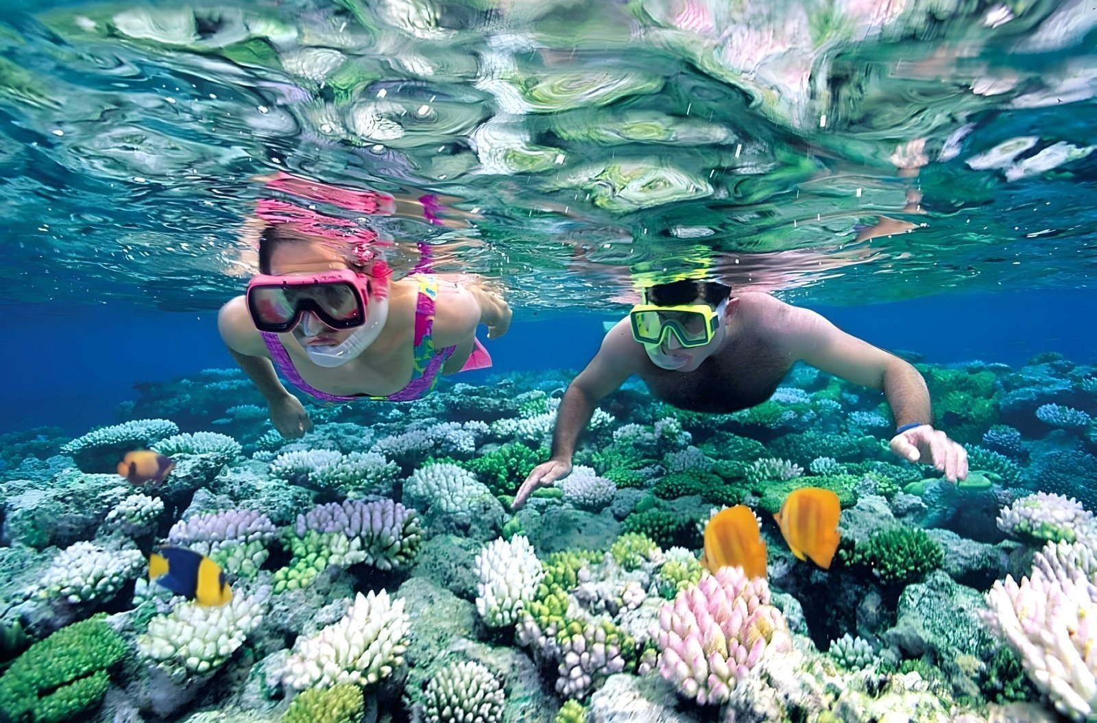 3 Days 2 Nights Moyo Island, Kenawa & Whale Shark Adventure